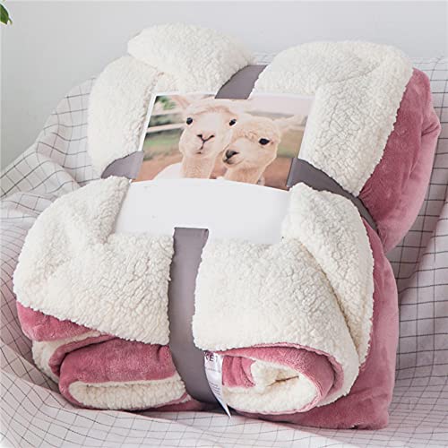 Duojidianzi uPbg ѕz 2 Ђ| tl }CNt@Co[ {A  g ӂӂ Gǂ ÓdC} n @\ [΍ ې lGʗp (150*200cm(2),C) [sAi]