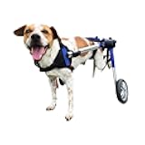Walkin' Wheels Dog Wheelchair - for Medium Dogs 26-49 lbs - Veterinarian Approved - Dog Wheelchair for Back Legs