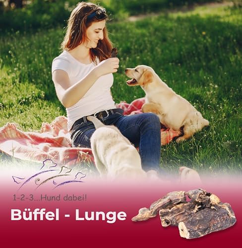 123...Hund dabei! - Büffel-Lunge 3kg, Rinderlunge XXL-Pack, fettarm, getrocknetes Rindfleisch, schonend getrocknet, Kauartikel vom Rind (Rinderlunge)