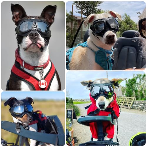 PETLESO Sonnenbrille für Hunde UV Hundebrille Einfach zu Tragen Schutzbrille für Hunde Modisches Haustierzubehör Motorradbrille für Kleine/Mittelgroße Hund