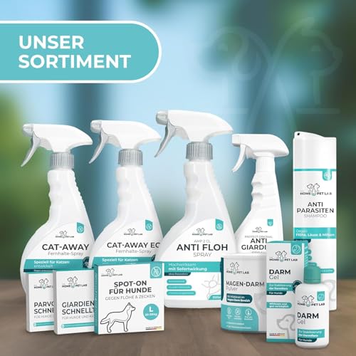 Anti Giardien Spray - RWC - Oberflächen Desinfektionsmittel für Hunde und Katzen - Effektives Hygienespray für Oberflächen mit Reinigungswirkung gegen Giardien, Viren, Bakterien & Pilze 500ml