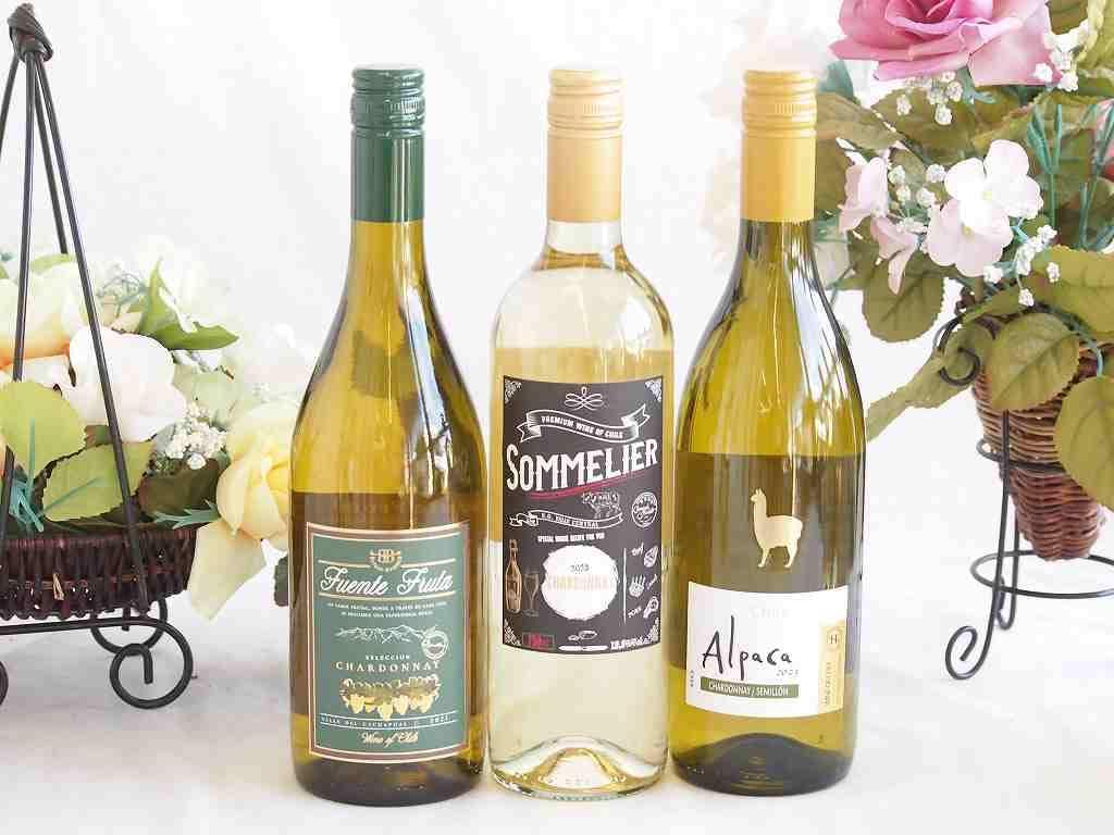 爽やかな酸味のチリ辛口白ワイン 3本セット(フルロッティ ソムリエ シャルドネ アルパカ シャルドネ セミヨン フエンテ フルータ
