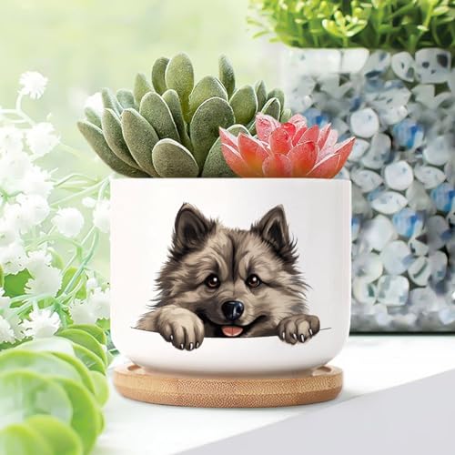 WoGuangis 2 Stuk Keeshond Kleine Keramische Potten voor Planten Hond Moeder Gift Moederdag Planters voor Vetplanten met Drainage Bamboe Trays Keeshond Leuke Grappige Gluren Hond Puppy Keramische Plant
