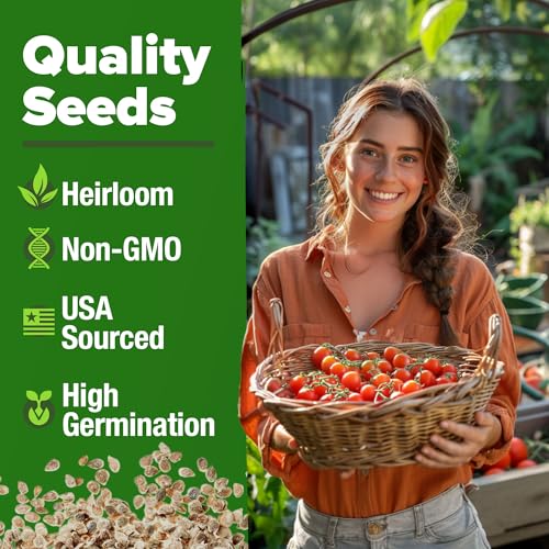 Image of HOME GROWN Large Red Cherry Tomato Seeds 1000+ Heirloom Non-GMO Seeds for Planting, High Germination,Indeterminate, Sweet & Juicy Salad Tomatoes,Prolific Garden Crop,Sustainable (Solanum lycopersicum)