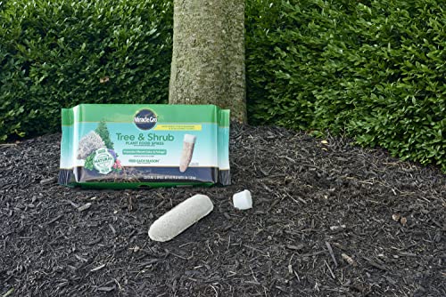 Image of Miracle-Gro Tree & Shrub Plant Food Spikes, 12 Spikes (2-Pack) | For Deciduous, Flowering and Evergreen Trees, Hydrangeas, and Acid-Loving Plants