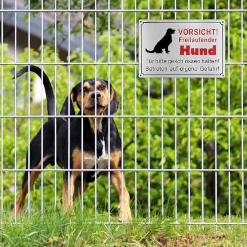30 × 20cm Vorsicht Hund Schild,Aluminium Warnung Vor Dem Hund Schilder Achtung Hund Schild Löchern Warnschild Hund Hundeschilder Warnung mit Selbstklebend und 4 Vorgebohrten
