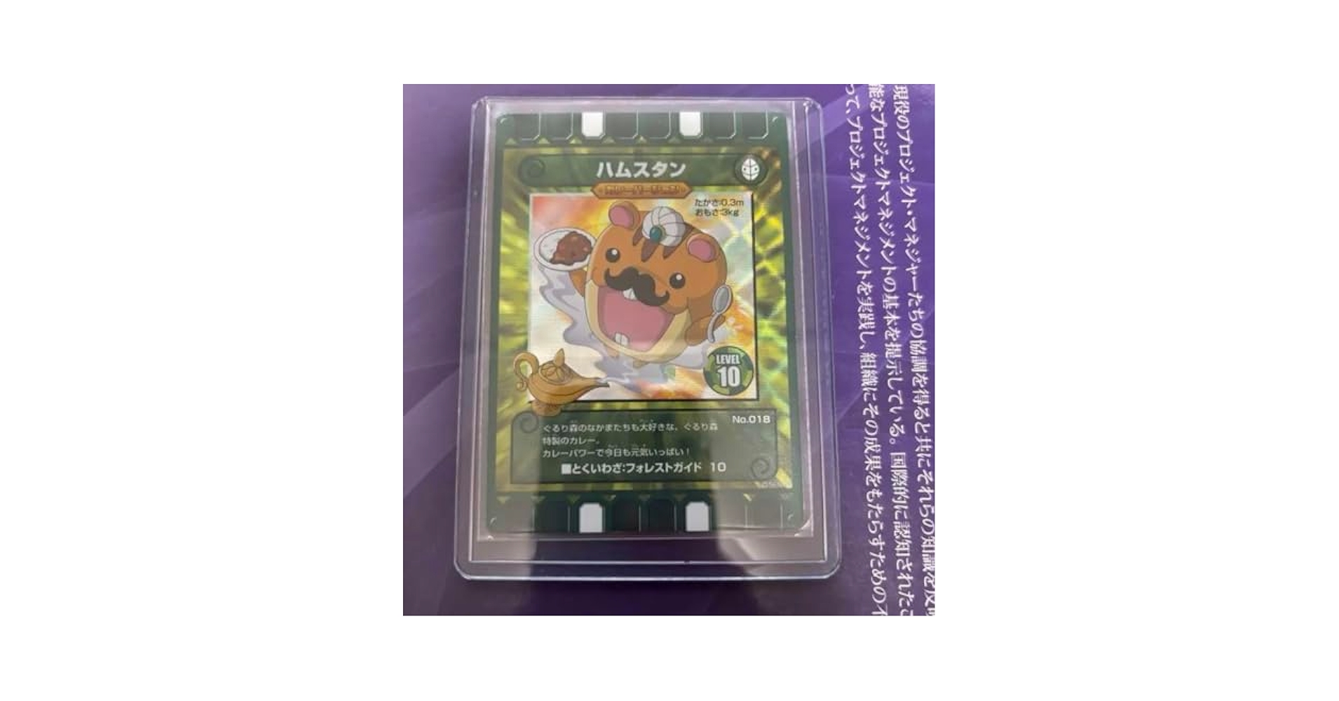 ぐるり森　ハムスタン　カレーバージョン Amazon.co.jp: ぐるり森 ハムスタン カレーバージョン ZOXDPUPT