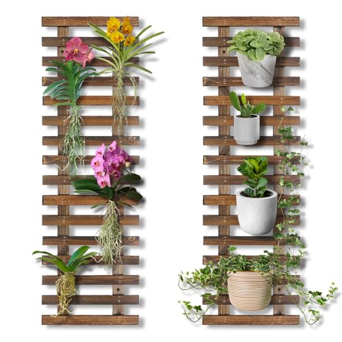 Mulctun 2 Pcs Wall Planters - 11.4'W x 35.43'H Wooden Wall Planters for Indoor Outdoor Plants,Hanging Wood Wall Trellis,Wall Mounted Plant Holder for Orchids,Succulent,Air Plants,Hanging Pots Display