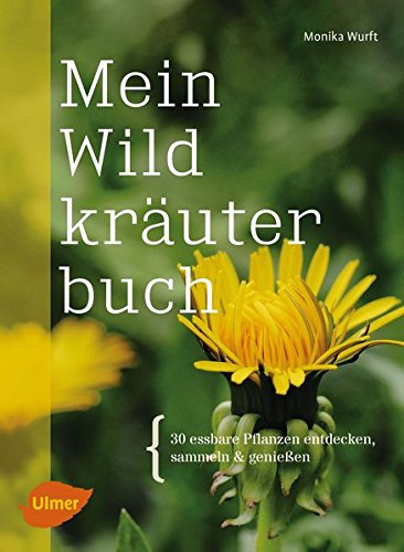 Mein Wildkräuterbuch: 30 essbare Pflanzen entdecken, sammeln und genießen Mein Wildkräuterbuch: 30 essbare Pflanzen entdecken, sammeln und genießen