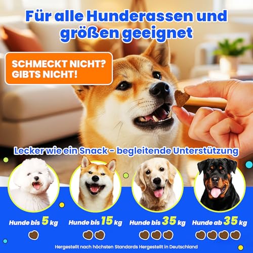 10-in-1 Probiotika für Hunde - 500g Leckerli mit wertvollen Kulturen & Präbiotika. Für das tägliche Wohlbefinden. Einfache Fütterung, hohe Akzeptanz. 300 Snacks