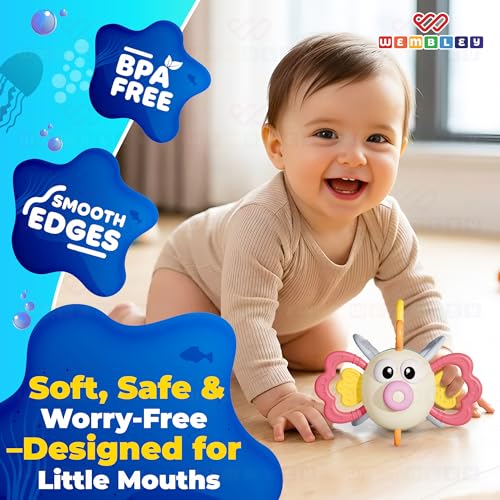 Image of Wembley Teethers Baby Toys for 6 to 12 Months | BPA Free Food Grade Silicone Baby Sensory Motor Skills Montessori Toddler Pull String Activity Toy for Babies | Gift Toys for 3-12 Months Girl Boy