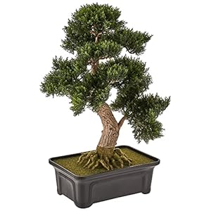 Bijna Natuurlijke 4103 24″. Ceder Bonsai Zijde Plant, Groen