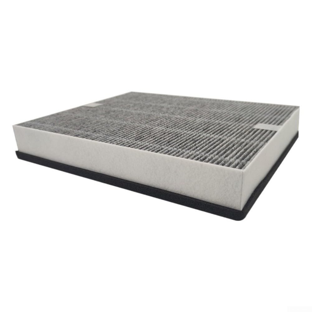 Filtro Carboni Attivi per AC5666 5668 Rimozione Polveri