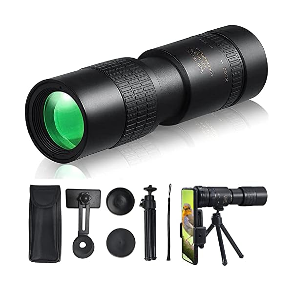 Paddsun Monokular Teleskop 4K 10-300X 40mm,Wasserdicht Beschlagfrei Stoßfest HD Fernrohr mit Smartphone Halterung…