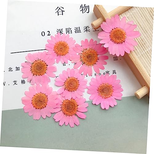 30 piezas de flores secas prensadas para decoración DIY miniatura 5