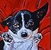 Pet Portrait Painting, Custom 11x14 Dog Acrylic Gallery Wrapped Canvas Portrait, Origianal Art From Photograph, Signed by Artist, Christmas Animal Handmade Wall Decor