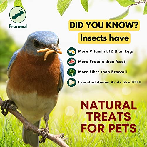 Image of Medley Flake Insect Mix for Small Birds | Protein-Rich Dried Insects Treat for Parakeets, Finches, Lovebirds & Canaries (30gm)