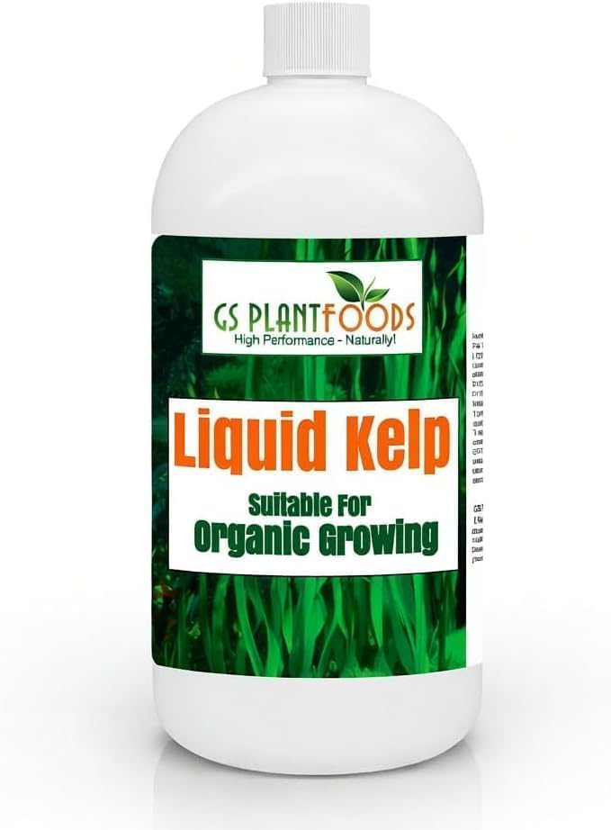 GS Plant Foods Liquid Kelp Fertilizer Suitable for Organic Growing OMRI Listed Seaweed Concentrate for Flowers Gardens Vegetables & Soil - 1 Quart (Makes Up to 200+ Gallons)