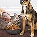Genérico Contenedor de alimentos para perros Imagen de Genérico Contenedor de alimentos para perros