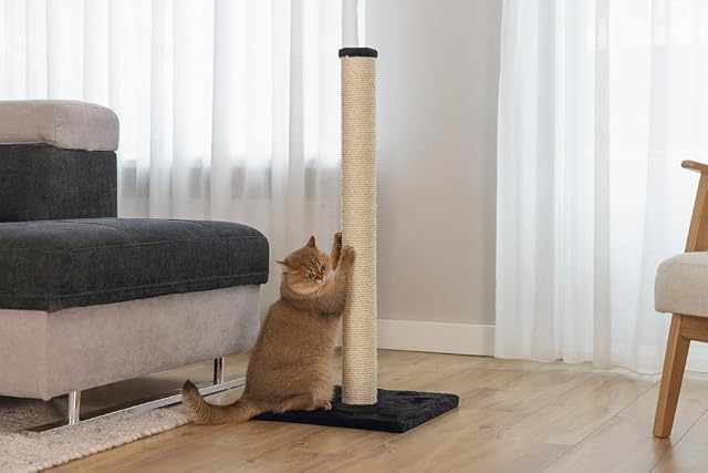 Foto 8 de 8 de Beeztees Scratch Post Gina con Huella, Extra Grande, 40 x 40 x 90 cm, Black P