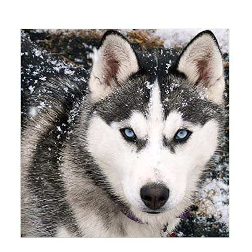 MXJSUA DIY 5D Diamond Kit de Pintura, Diamante Completo Perro Hus...