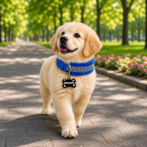 Image of Customized Dog Neck Belt Collar with Name ID Tag, Soft Fur Padded Dog Collar | for 24-35 Kilograms Dogs (L, Blue)