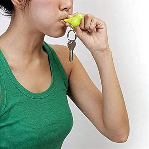 Yjemle Bird House Key Holder, Single Bird House Keychain Wall Hook Holders, Mini Bird Nest Keychain, Anti-Lost Key Holder Whistle Key Ring Holder for Home, Key Hooks Home Storage Hooks Key Hooks - Image 6