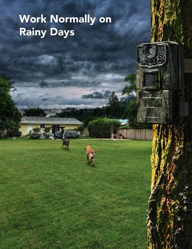 Wildkamera 20MP 1080P FHD 0,4s Auslösegeschwindigkeit mit Nachtsicht-Bewegungsaktivierter wasserdichter Outdoor… – Bild 5