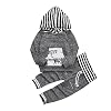 Pasgeboren Kid Baby Jongen Dinosaur Print Lange Mouwen Hoodies Tops Jas Lange Broek Sweatsuit Broek Outfit Set
