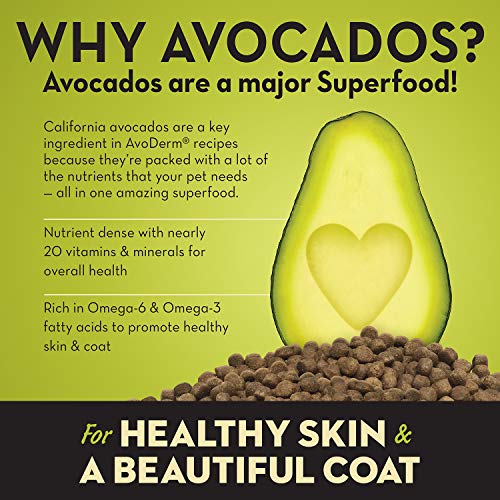 AvoDerm Natural Puppy Dry Dog Food, DHA For Brain & Eye Development, Chicken & Brown Rice