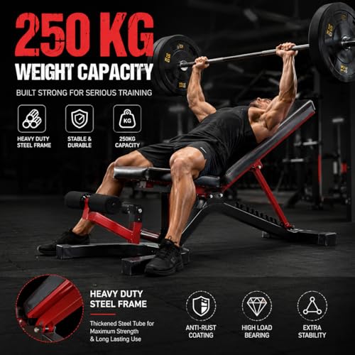 Image of Adjustable Workout Bench for Home Gym | Multifunctional Incline Decline Bench with Preacher Curl Pad & Leg Support | Full Body Strength Training Bench for Men & Women (Black & Red)