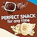 Snack Pack Sugar Free Chocolate and Vanilla Flavored Pudding Family Pack, Lunchbox Snack, 12 Count Pudding Cups