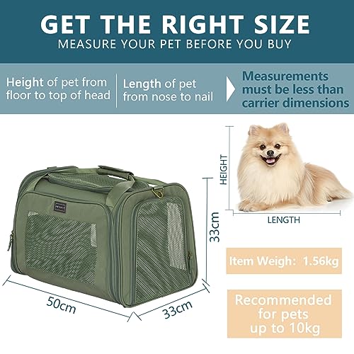 Petsfit Transportbox Katze Hund faltbar Transporttasche Hundetasche für Katzen Hunde, Hochwertige Tragetasche Hund Katze mit Schultergurt und weiches expandierbare Kissen,groß