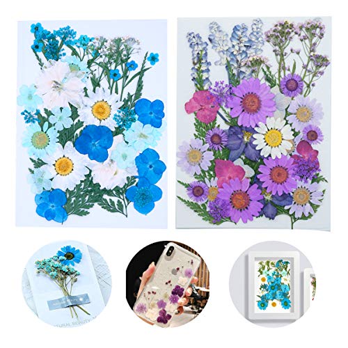 Natural Dried Pressed Flowers 73 pcs Mixed Multiple Real Dried Flowers Leaves for DIY Candle Resin Jewelry Nail Pendant Crafts Making Art Floral Decors
