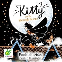 Kitty and the Moonlight Rescue cover art