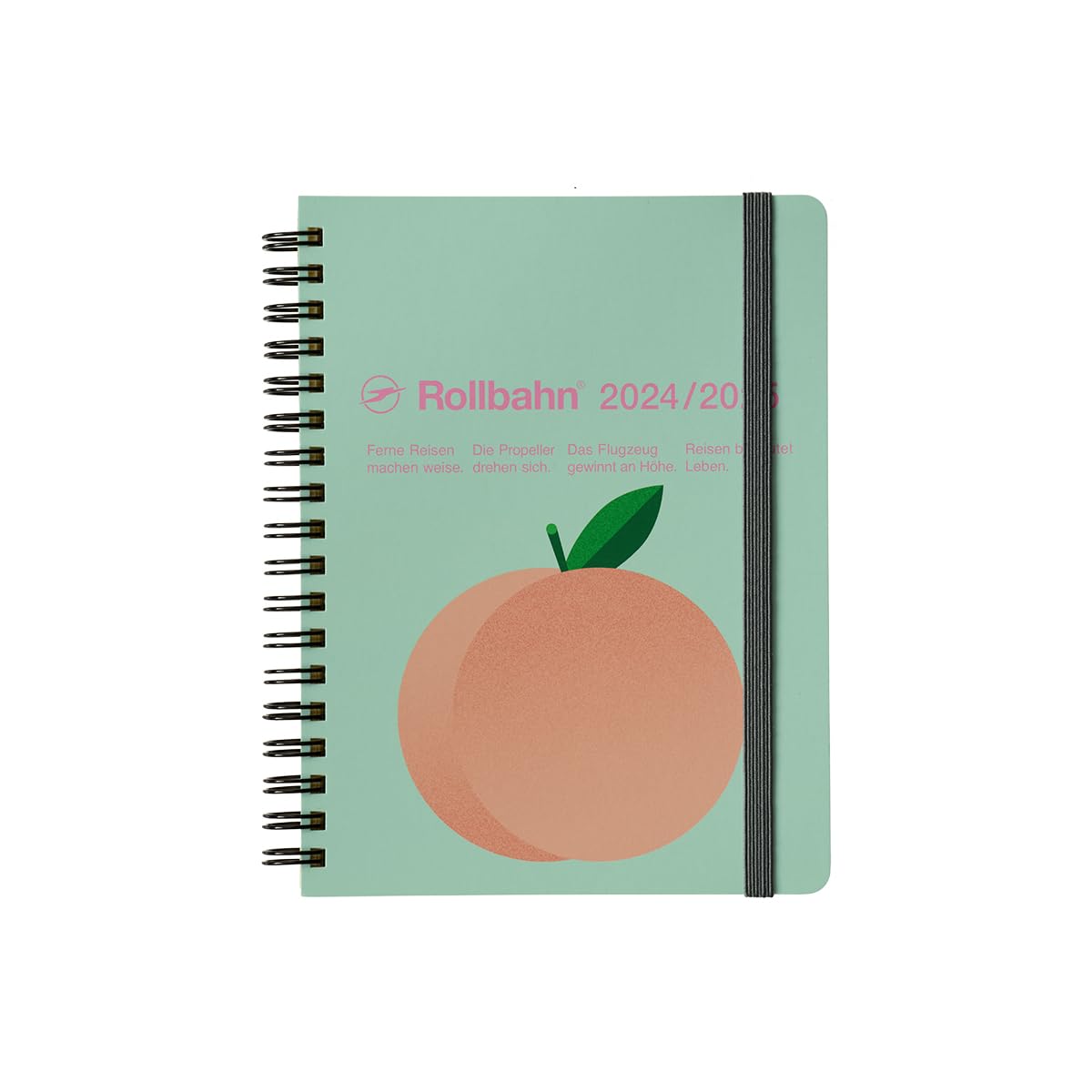 ★新品未使用★完売品★ロルバーンダイアリー　フルーツL　3冊セット　2022年 DELFONICS - ☆新品未使用☆完売品☆ロルバーンダイアリー