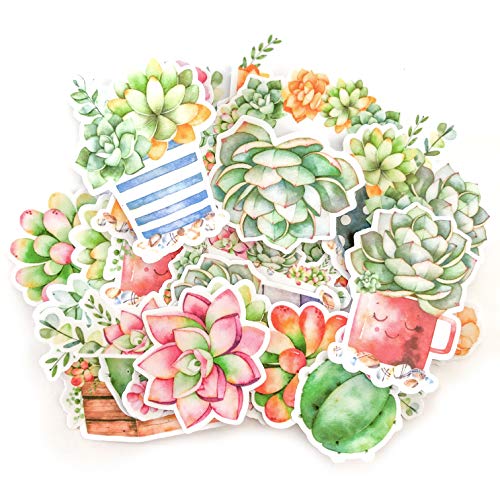 Navy Peony Watercolor Succulent Plant Stickers | Waterproof Decals for Laptops and Water Bottles | Stickers for Scrapbook and Journals(21 Pieces)