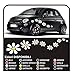 GRAFIC 18 Autocollants Fleurs Marguerites Voitures Kit Autocollants Fleurs Nouvelles (Blanc)