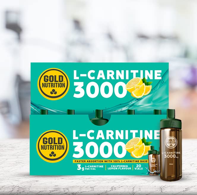 increasing androgen receptors l carnitine l-Carnitine Supplementation in Recovery after Exercise