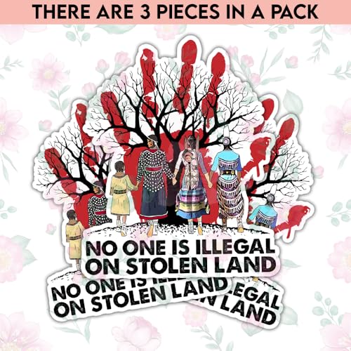 Image of TODOLIA (3Pcs-3in) No One is Illegal On Stolen Land Sticker MMIW Indigenous Women Sticker Proud Native American Gift Decoration Laptop Tablet Vehicle Planner Helmet Bumper