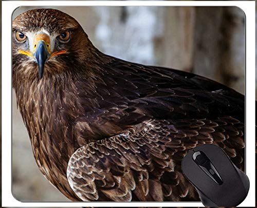 Eagles Unique Custom Mouse Pad Mousepad,Eagle Office Mouse Pad