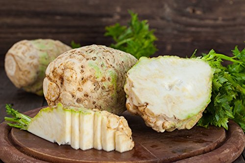 Apio nabo, apio de raíz'Maxim' - variedad tardía - semilla