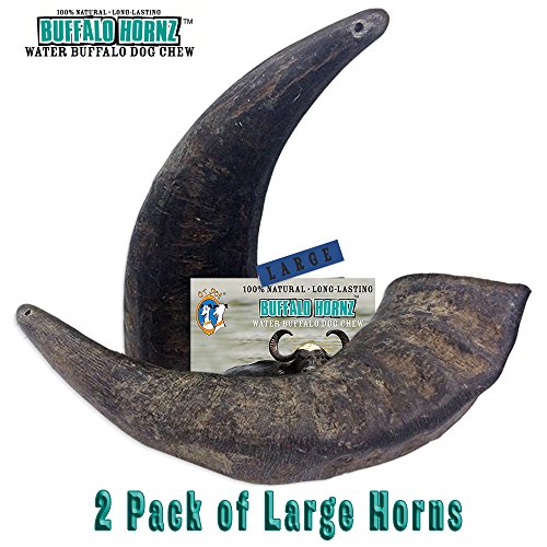 2 Pack of Buffalo Hornz Large Long Lasting 100% Natural Water Buffalo Horn