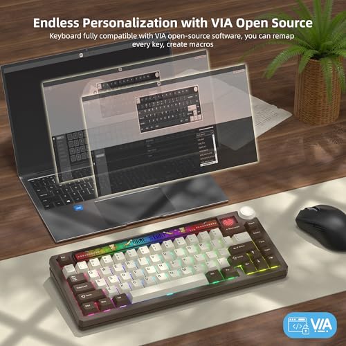 Image of Womier 75% Wireless Mechanical Keyboard with Screen and Knob Keyboard | Retro Creamy Bluetooth Gaming Keyboard Custom Clear Light Box,RGB /Hot Swap /PBT Keycap,VIA Programmable for Mac /PC,K80 Brown