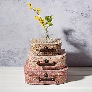 Sass & Belle Vintage (Set of 3) Floral Suitcases