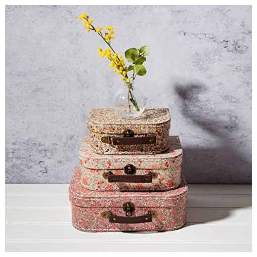 Juego de 3 maletas Sass and Belle con varios diseños