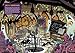 Disney Tim Burton's The Nightmare Before Christmas - Where’s Jack? Look and Find Activity Book - PI Kids