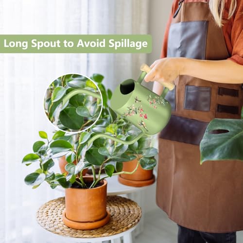 Image of Watering Can Indoor Plants, 35oz Small Stainless Steel Metal Watering Can Modern Decorative Watering Pot with Long Spout for Indoor House Plant Bonsai Garden Flowers (Saga Green 2)