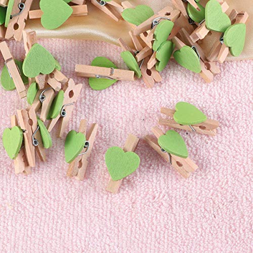 Toyvian 50 Pezzi Mini Mollette in Lengo Clip di