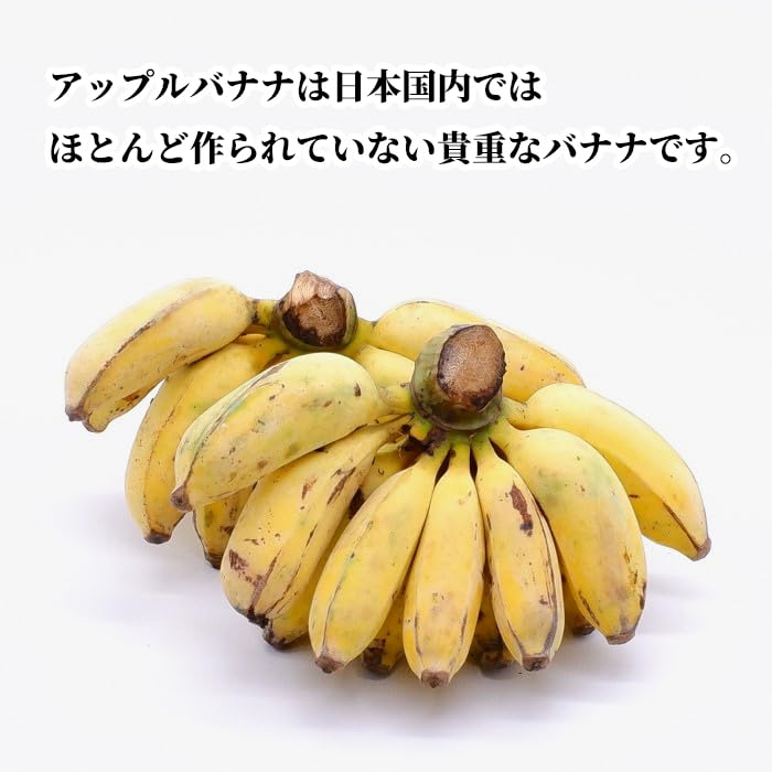 アップルバナナ　8KG　沖縄産 Amazon.co.jp: 沖縄県産 アップルバナナ【販売：沖縄琉堂】 (8kg